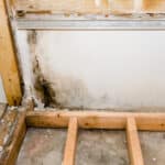 Mold and water damage on a wall in a house under renovation in Jacksonville, Florida.