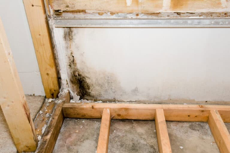 Mold and water damage on a wall in a house under renovation in Jacksonville, Florida.