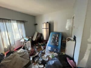 Cluttered living room with boxes and household items in disarray.