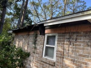 Damaged roof and major tree damage to a brick house in Jacksonville, FL.